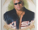 Rikishi WWE Topps Heritage Trading Card Allen &amp; Ginter #AG-17 - £1.55 GBP