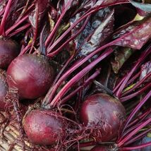 Bull&#39;s Blood Beet Seeds, Deep Burgundy Greens, NON-GMO, Heirloom, FREEE ... - €1,36 EUR+