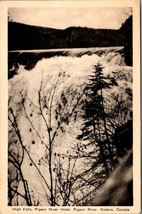 Canada Ontario High Falls Pigeon River Hotel Photogelatine Vintage Postcard - £7.37 GBP