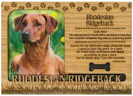 Rhodesian Ridgeback Engraved Wood Picture Frame Magnet - £8.95 GBP