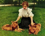 New York NY NYC Lion Cubs New York Zooligical Park 1910s Vtg Postcard UNP - $3.91