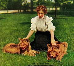 New York NY NYC Lion Cubs New York Zooligical Park 1910s Vtg Postcard UNP - £3.07 GBP
