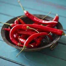 Hot Pepper Seeds Cayenne Long Red Thin Harvest Vegetable Gardening USA SELLER - £10.44 GBP