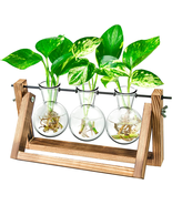 Ivolador Desktop Glass Plants Bulb Terrarium with Retro Solid Wooden Sta... - €24,76 EUR