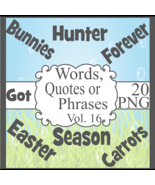 Words, Quotes or Phrases Vol. 16 - $37.30 MXN