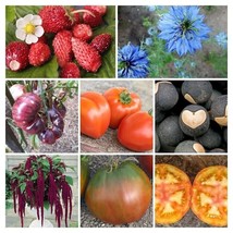 Seed package for Valentine&#39;s Day - 8 varieties - 125+ seeds - V 176 - £7.84 GBP