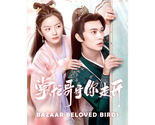Bazaar Beloved Birds (2024) Chinese Drama - $64.00