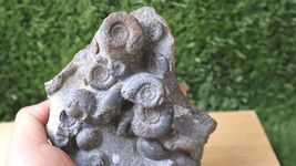 Item image 15