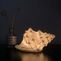 Home Nordic Conch Shell Light - £78.09 GBP+