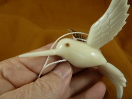 TNE-BIR-HU-295b Hummingbird bird hanging ornament TAGUA NUT figurine - $36.45