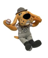 Midland Rockhounds  Rocky SGA Plush Mascot Oakland A’s Athletics Dog Mas... - £16.97 GBP