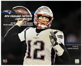 Tom Brady Unsigned Patriots Career Stats 16&quot; x 20&quot; Photograph LE 12 - $49.95