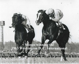 1963 - MONGO winning the Washington D. C. International - Close Up  - 10&quot; x 8&quot; - £15.75 GBP