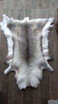 Norwegian Reindeer Skin Hide Fur Pelt Taxidermy Home Decor Area Rug Fire... - £90.13 GBP