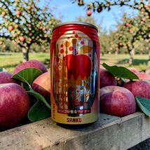 Sanko Apple Ginger Cider 11.6 Fl oz, Japanese Carbonated Soft Drink -One... - $2.92