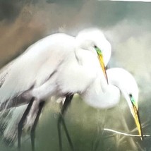Artist Photograph Giclee Print Snowy White Egret Pair Bird Florida Nature 14&quot; - £44.83 GBP