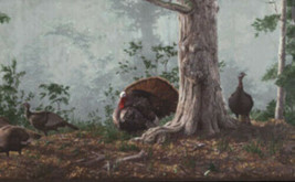 Gobblers Hen Wild Turkey Hunting Lodge Cabin Wallpaper Border HG522B - £12.87 GBP