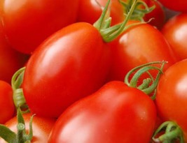 500 Italian Roma Tomato Lycopersicon Lycopersicum Fruit Vegetable Seeds From US  - £6.45 GBP