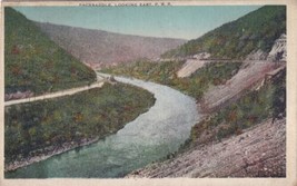 Packsaddle Looking East P. R. R. Postcard Pennsylvania Railroad N18 - £2.38 GBP