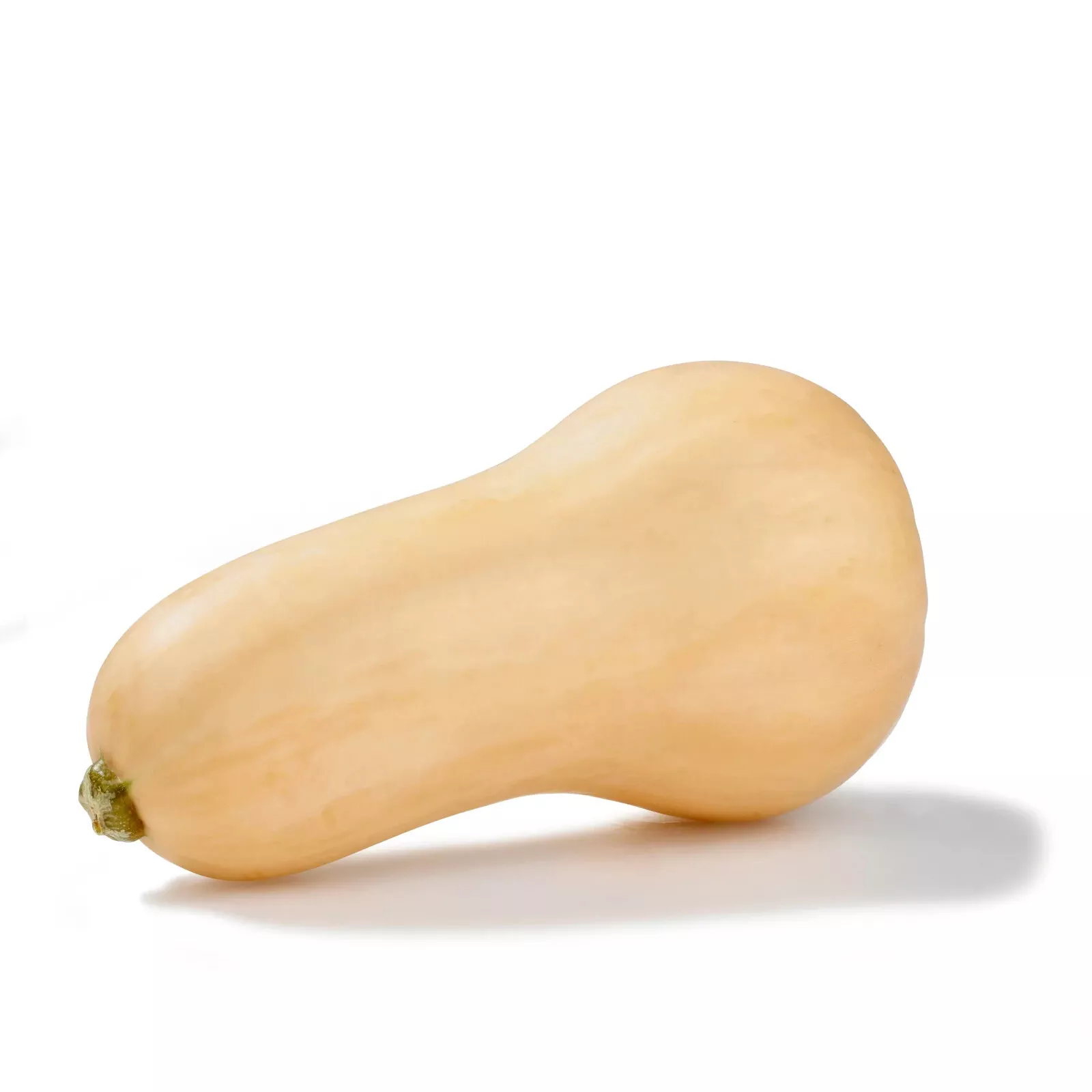 BUTTERNUT SQUASH 10 VEGETABLE SEEDS  - $6.31