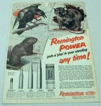 1955 Print Ad Remington Power Shells Crow, Bobcat Bridgeport,CT - $10.43