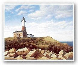 Turtle Cove Hill by Daniel Pollera 7.875"x10" Art Print Poster - $5.84