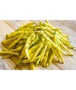Organic Heirloom Golden Wax Garden Bean Seeds - $4.95