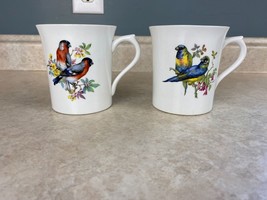 Queens Rosina China Centenarp Dear 1975 Set Of Two Bird Series Coffee Tea Mug - £13.23 GBP