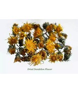 1/2 oz Organic Wild Dried Minnesota Dandelion Flowers,(Taraxacum) - $16.19 CAD
