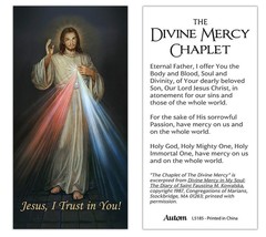 Divine Mercy Prayer Card + Medal &amp; 20&quot; Chain, New #AB-088 - $5.00