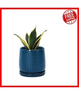 Durable 4 Inch Blue Decorative Planter Pot with Drainage for Healthy Hou... - $44.06 CAD