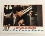 Gremlins 2 A New Batch Trading Card 1990  #29 A Boy And His Mogwa - $1.97
