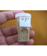 k-5601 16 g Kauri tree Metaphysical incense chip dust copal Amber NZ Tan... - $24.32 CAD