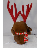 DanDee Sad Sam &amp; Honey Animated Singing Christmas Santa Dog Plush 19 Inch - £19.27 GBP