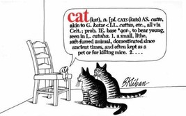 Kliban: CAT 1st edition, 12th printing - £20.85 GBP