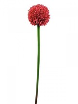 EUROPALMS Alliumzweig, Artificial, Red, 55cm - £5.03 GBP