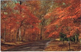 Ontario Postcard Lake Simcoe Autumn Leaaves - £2.32 GBP