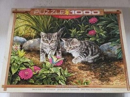 1000 Piece Eurographics Puzzle - Kittens - $10.88