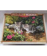 1000 Piece Eurographics Puzzle - Kittens - £8.55 GBP