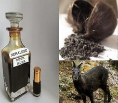 Authentic (Wild Nepalese Kasturi) Real Black Deer Musk Pheromones Attar Oil 3ML+ - £35.39 GBP+