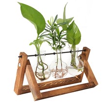 Desktop Hydroponic Plant Terrarium Planter Bulb Glass Vase W/Wooden Stand Decor - £21.15 GBP