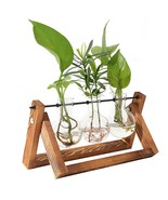 Desktop Hydroponic Plant Terrarium Planter Bulb Glass Vase W/Wooden Stan... - £20.81 GBP