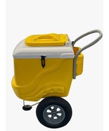 POPSICLES MOBILE CART PALETA CART FRUITS Drinks Cart Branding COOLER - $58,879.79 MXN