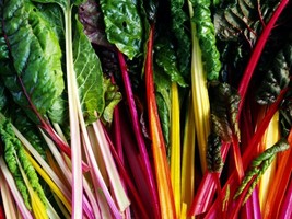 50 + Rainbow Swiss Chard Seeds Rhubarb Perpetual Spinach Garden Fresh - £4.40 GBP