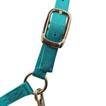 Turquoise Nylon Horse Halter New image 2