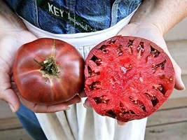 Guashi Store 120 Cherokee Purple Tomato Seeds Heirloom Non-Gmo Fresh Fast Shippi - £7.07 GBP