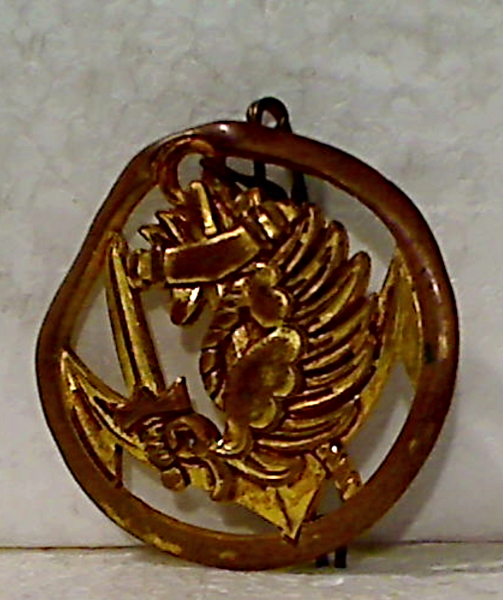 Vintage French Legion Etrangere Parachutists Hat Badge Bent Some - $6.00