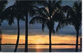 Florida Postcard Golden Sunrise Along Tropical Coast Coconut Palms - $2.05