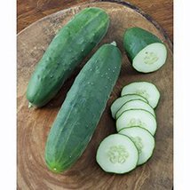 Cucumber, Straight Eight Cucumber Seeds, Heirloom, Organic 499+ Seeds, Great for - £7.81 GBP