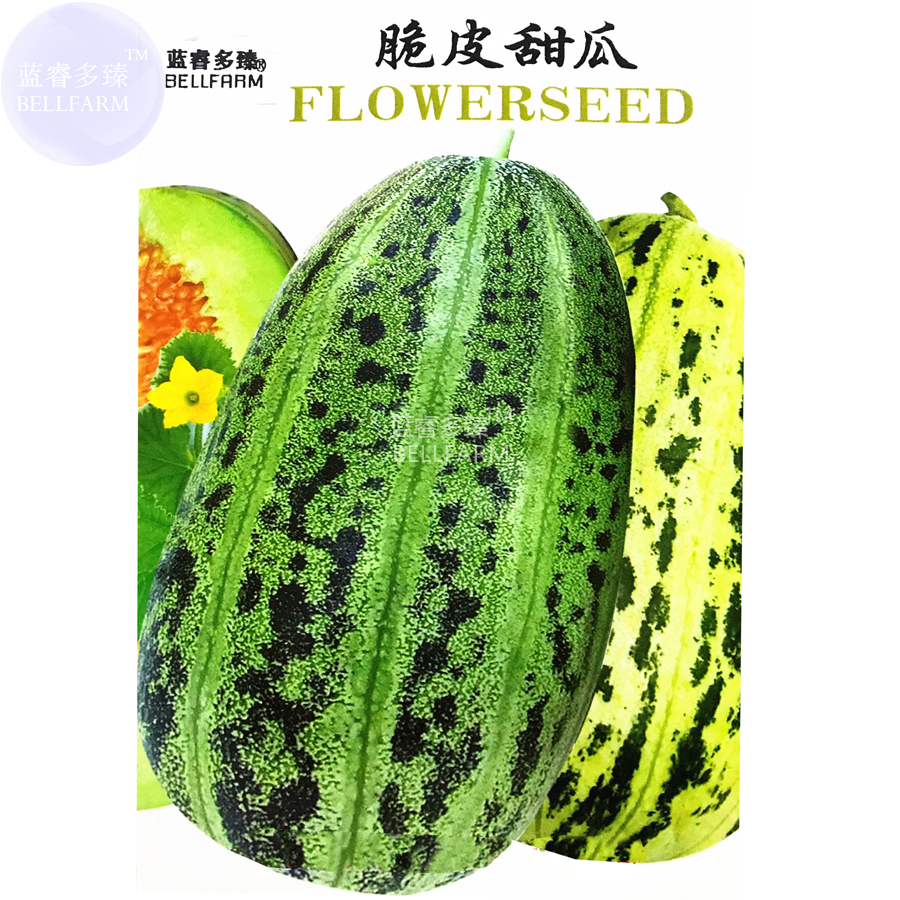 Colorful Ellipse Sweet Melon Seeds 20 Seeds Pack Crisp Fragrant High Yield Muskm